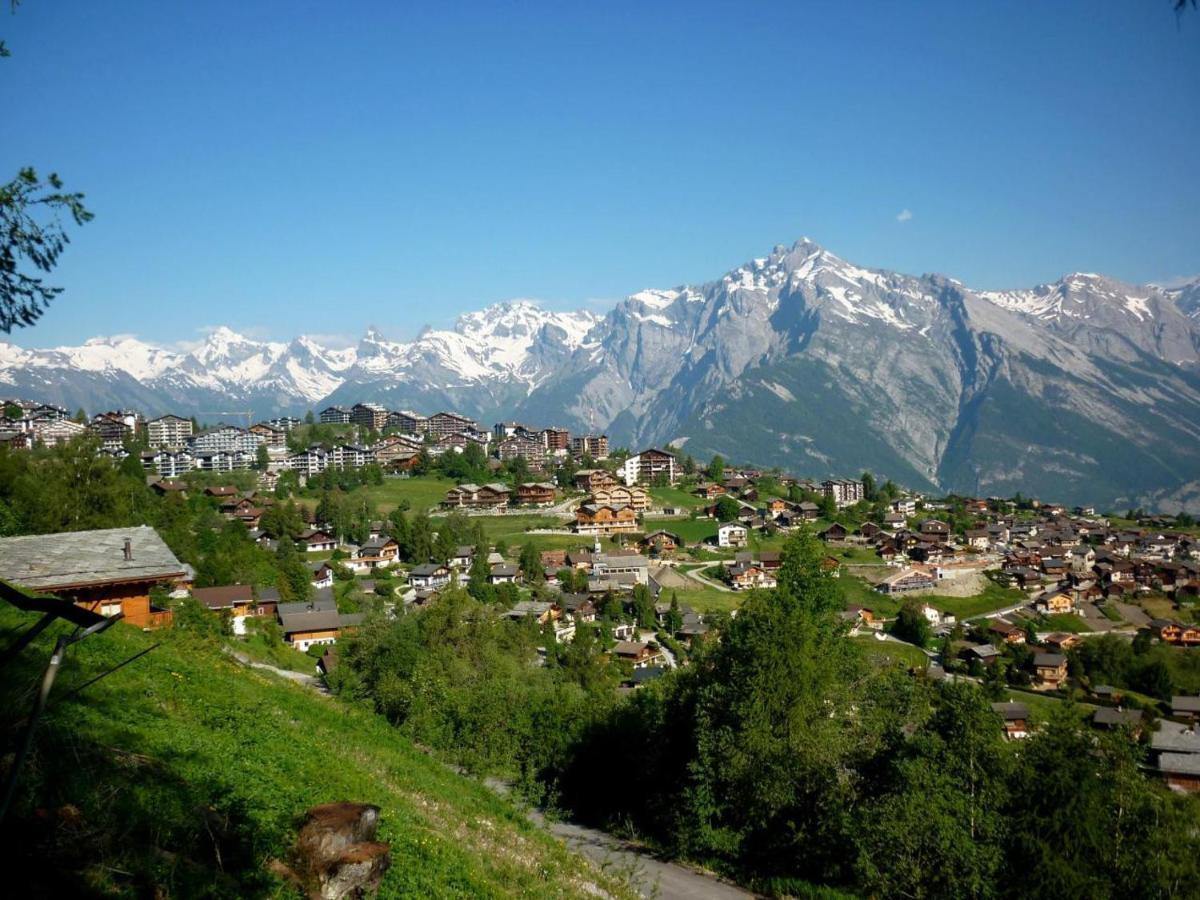 Pracondu Outdoor & Fun Appartement 1 Chambre Avec Balcon By Alpvision Residences Nendaz Bagian luar foto