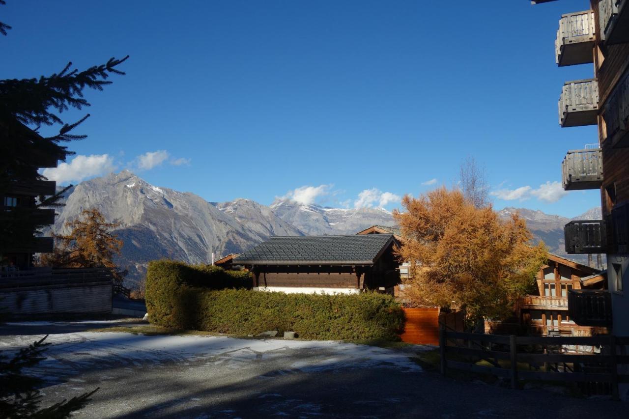 Pracondu Outdoor & Fun Appartement 1 Chambre Avec Balcon By Alpvision Residences Nendaz Bagian luar foto