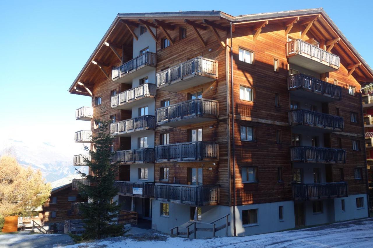 Pracondu Outdoor & Fun Appartement 1 Chambre Avec Balcon By Alpvision Residences Nendaz Bagian luar foto