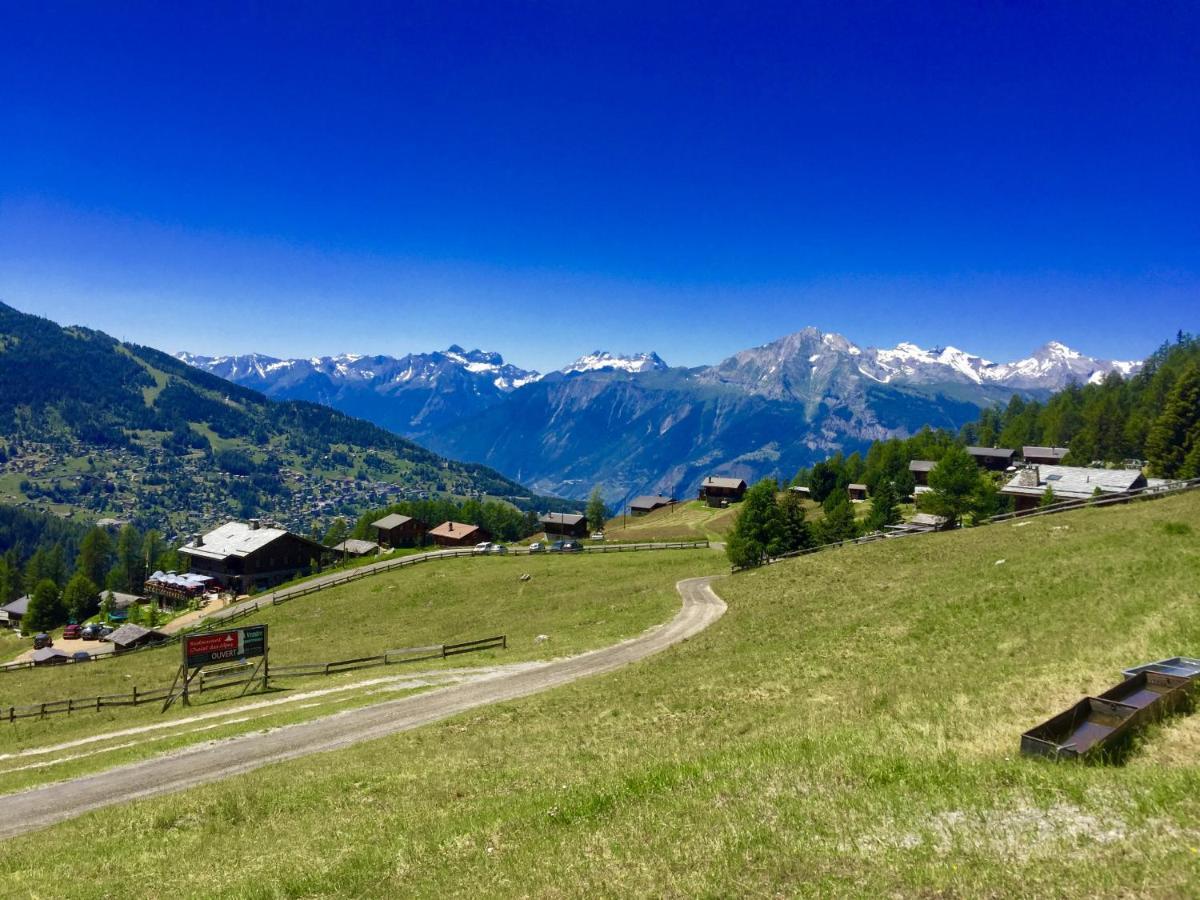 Pracondu Outdoor & Fun Appartement 1 Chambre Avec Balcon By Alpvision Residences Nendaz Bagian luar foto