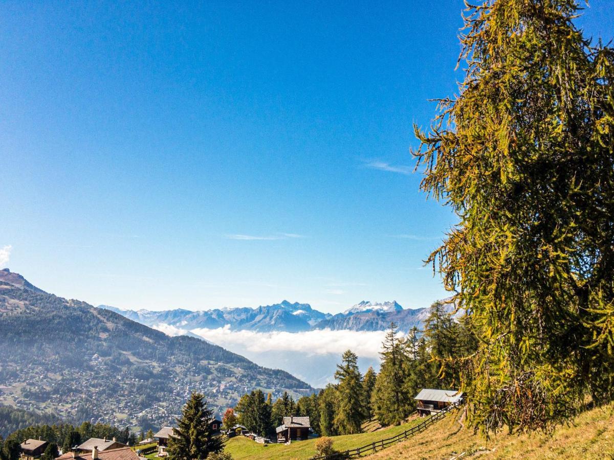 Pracondu Outdoor & Fun Appartement 1 Chambre Avec Balcon By Alpvision Residences Nendaz Bagian luar foto
