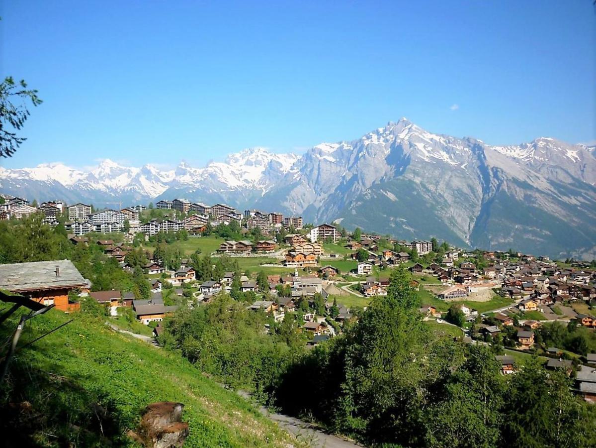 Pracondu Outdoor & Fun Appartement 1 Chambre Avec Balcon By Alpvision Residences Nendaz Bagian luar foto